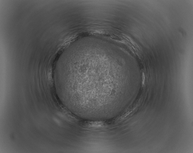 X0000116550377200912241600