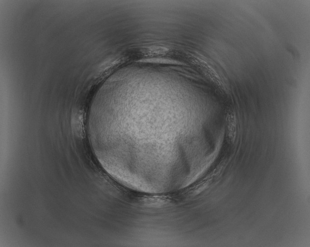 X0000116550378200912241600