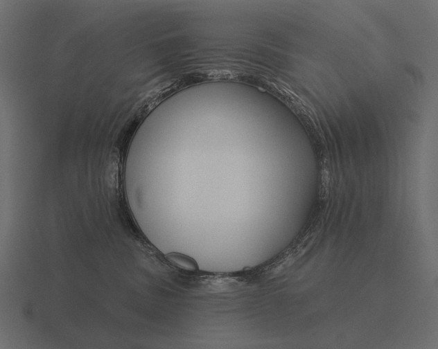 X0000116550379200912241600