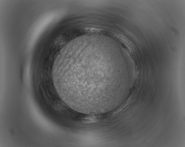 X0000116550381200912241600