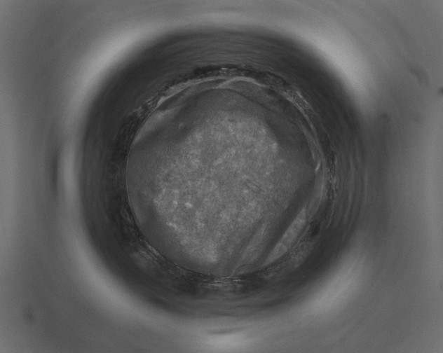 X0000116550383200912241600