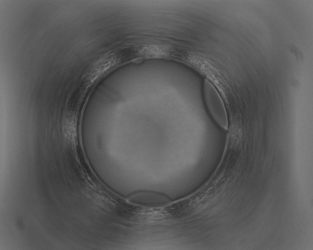 X0000116550386200912241559