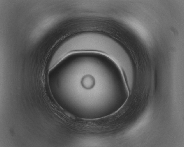 X0000116550387200912241559