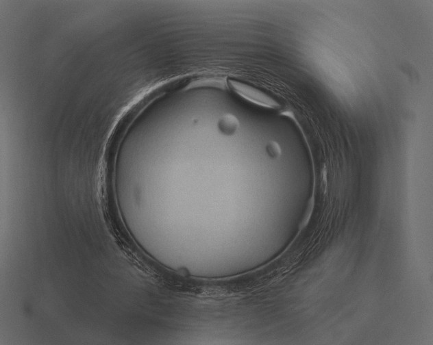 X0000116550388200912241559