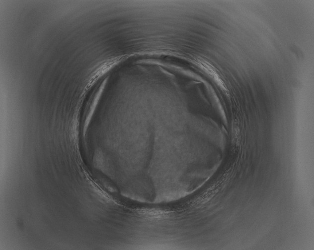 X0000116550389200912241559