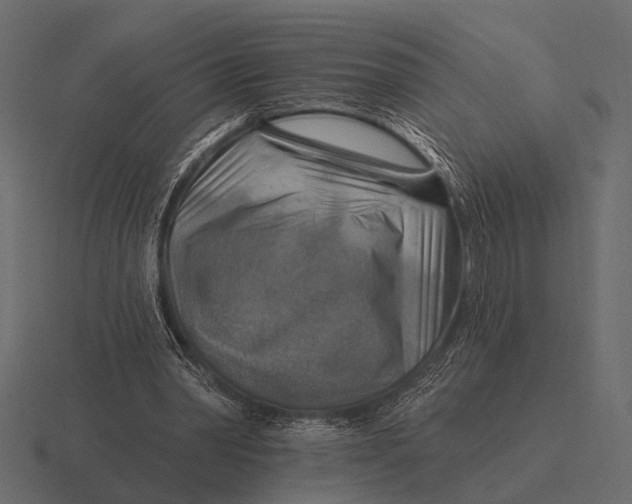 X0000116550390200912241559