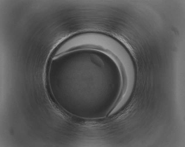 X0000116550391200912241559