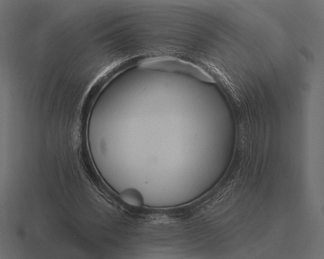 X0000116550392200912241559