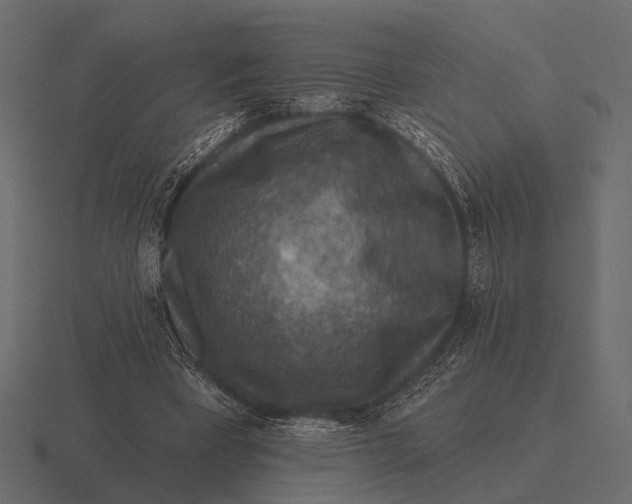 X0000116550393200912241559