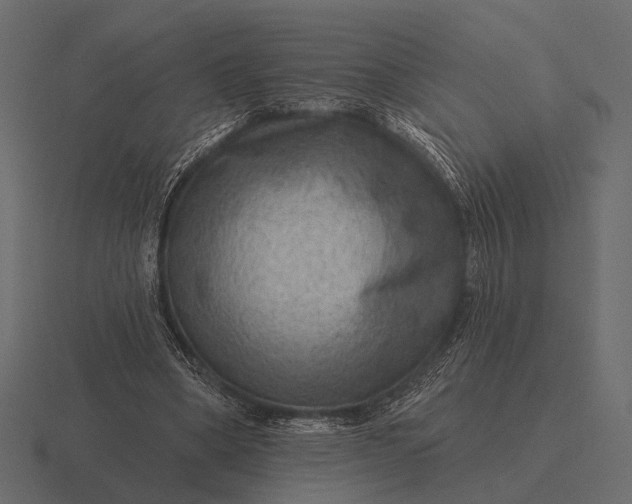 X0000116550394200912241559