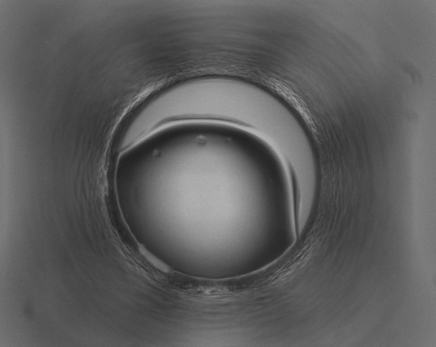 X0000116550395200912241559