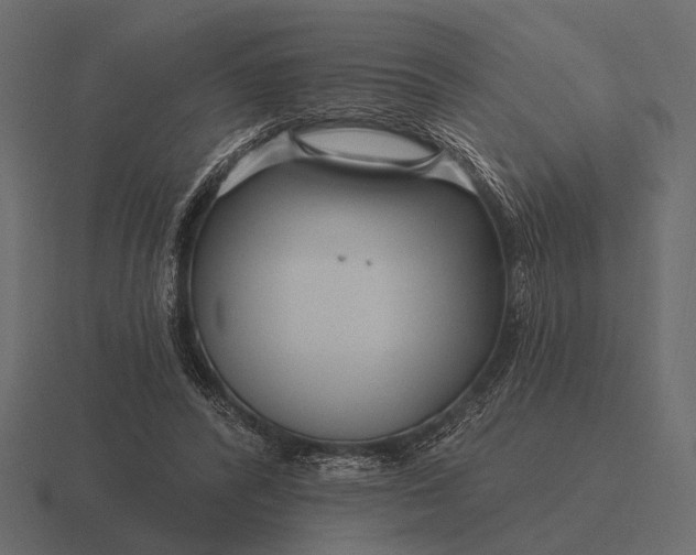 X0000116550400200912241559