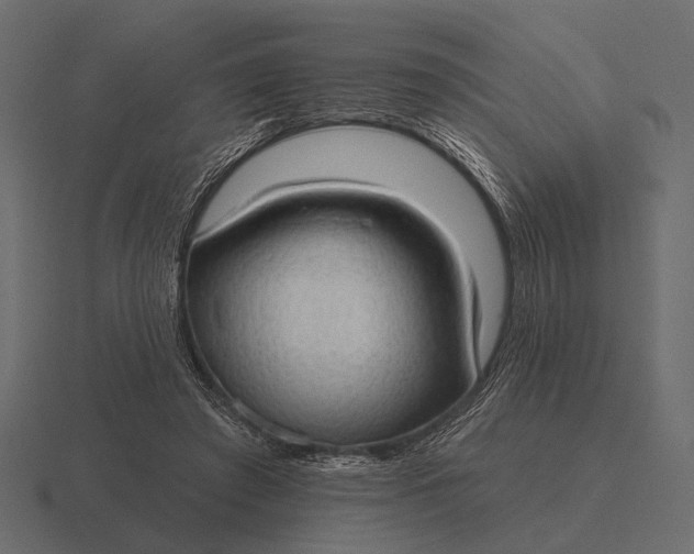 X0000116550401200912241559