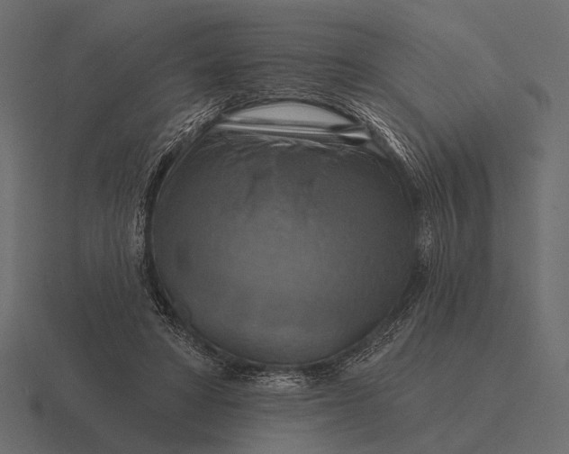 X0000116550402200912241559