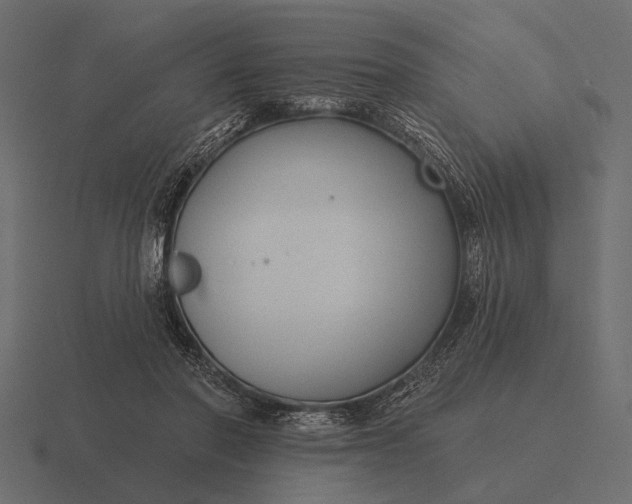 X0000116550406200912241559