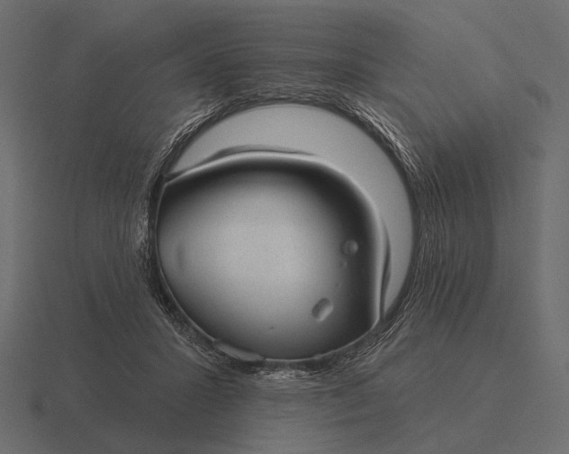 X0000116550407200912241559