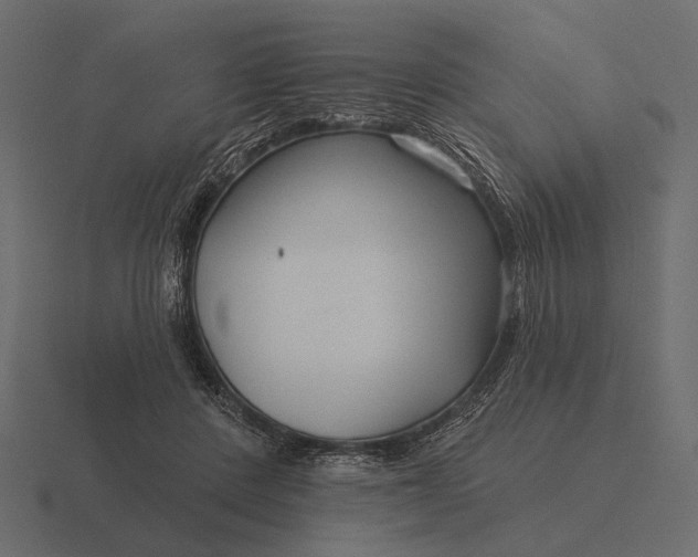 X0000116550408200912241559