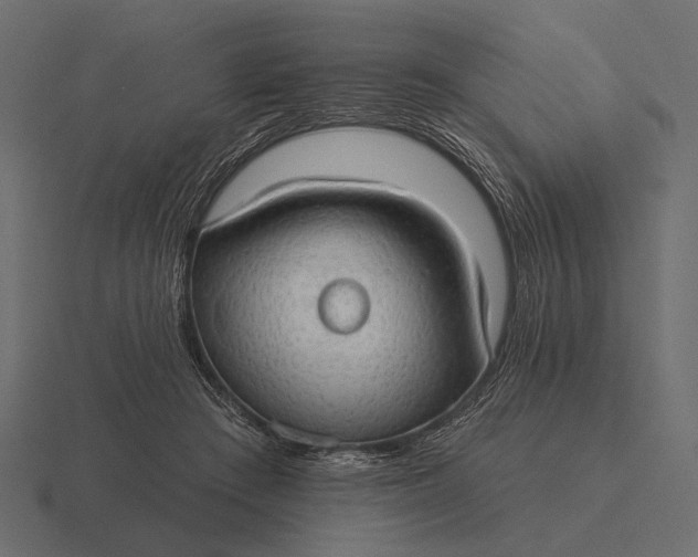 X0000116550409200912241559