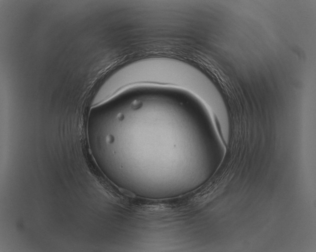 X0000116550411200912241559