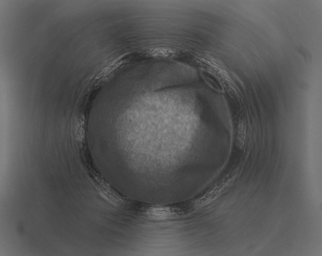 X0000116550413200912241559