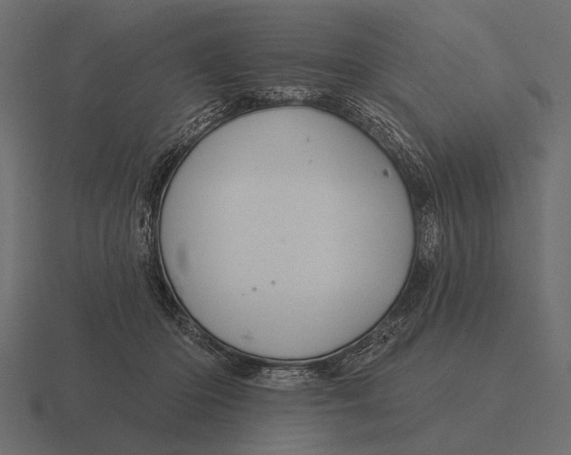 X0000116550414200912241559