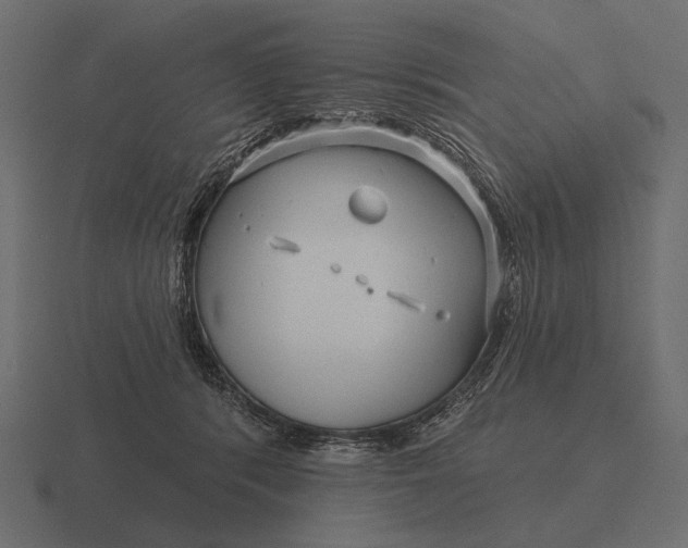 X0000116550416200912241559