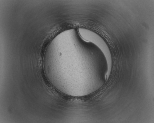 X0000116550419200912241559