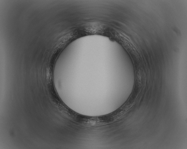 X0000116550420200912241559