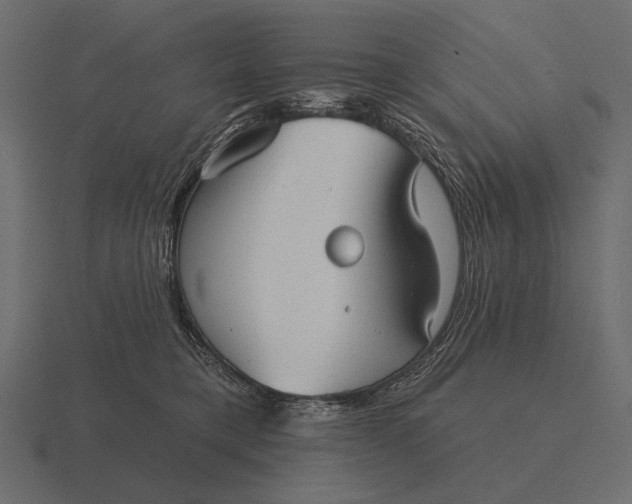 X0000116550421200912241559