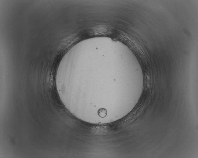 X0000116550422200912241559