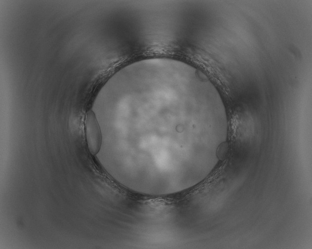 X0000116550423200912241559