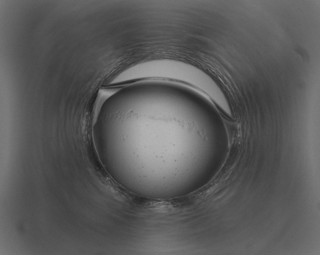 X0000116550424200912241559