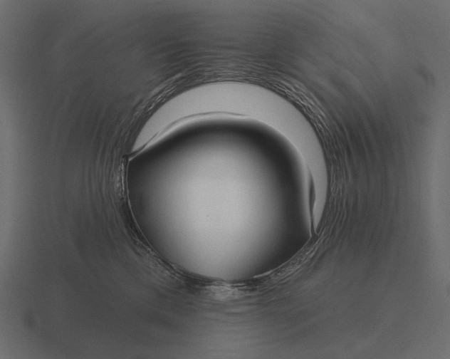 X0000116550425200912241559