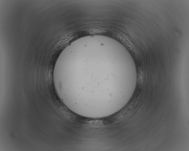 X0000116550426200912241559