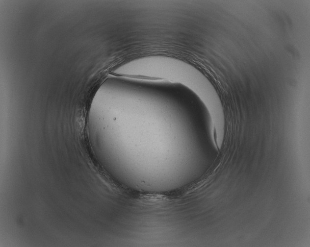 X0000116550427200912241559