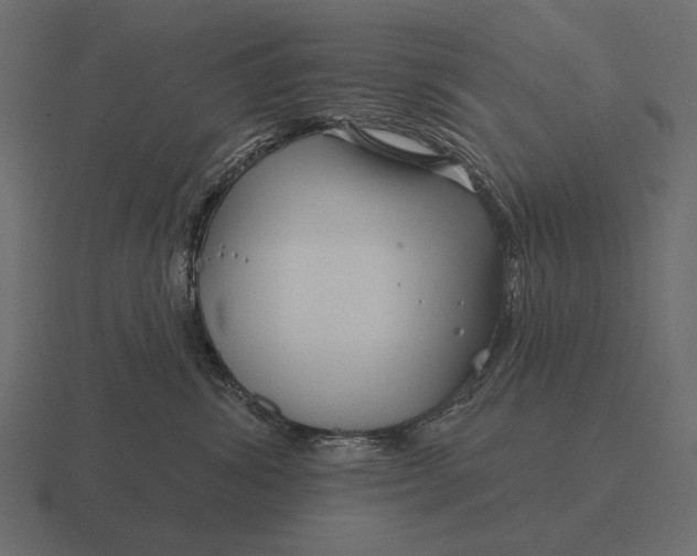 X0000116550428200912241559