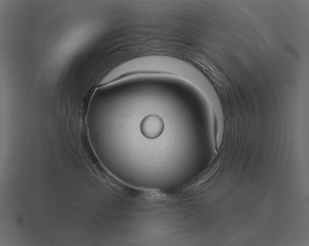 X0000116550429200912241559