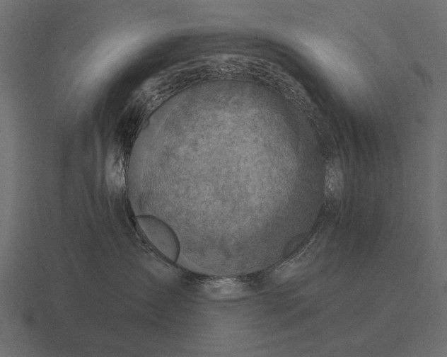 X0000116550431200912241559