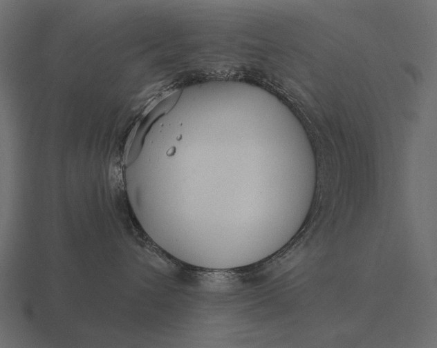 X0000116550432200912241559