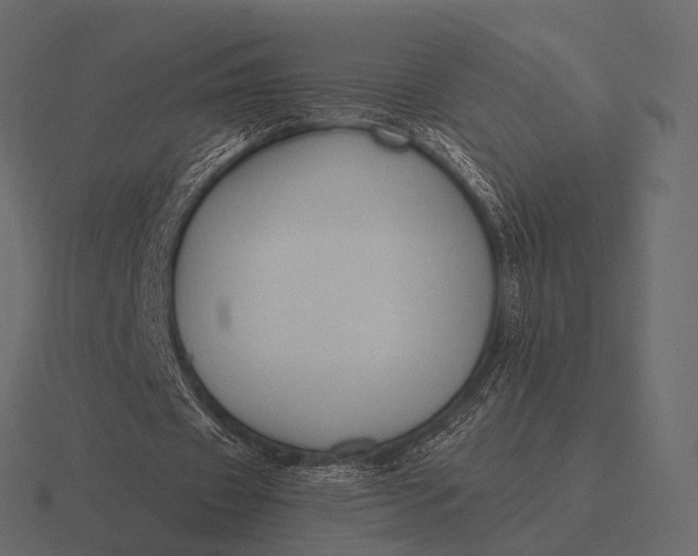 X0000116550433200912241558