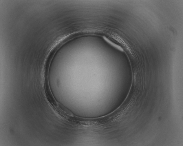 X0000116550436200912241558