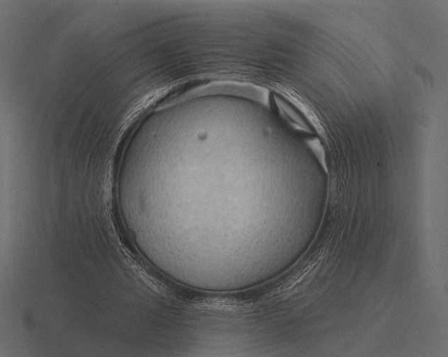 X0000116550437200912241558