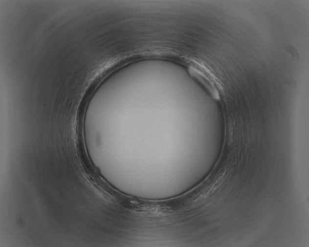 X0000116550439200912241558