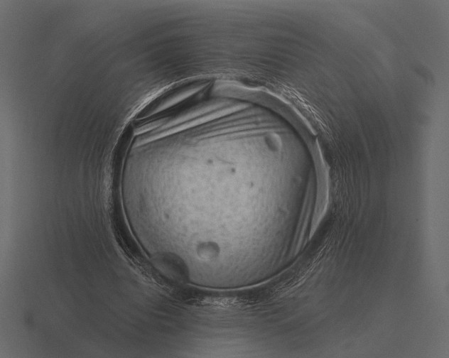 X0000116550440200912241558