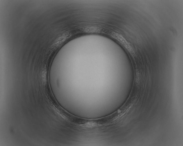 X0000116550441200912241558