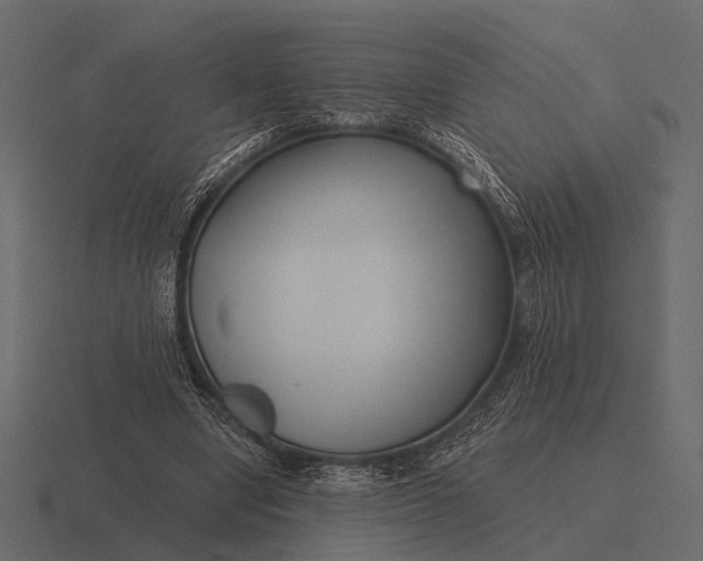 X0000116550442200912241558