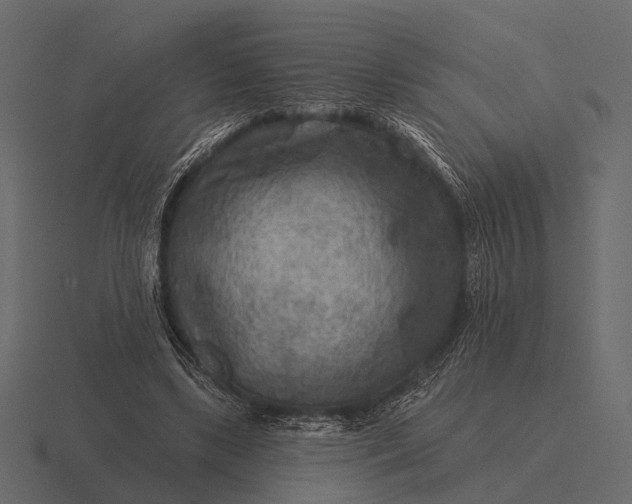 X0000116550443200912241558