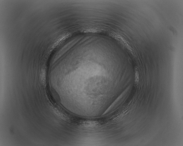 X0000116550444200912241558