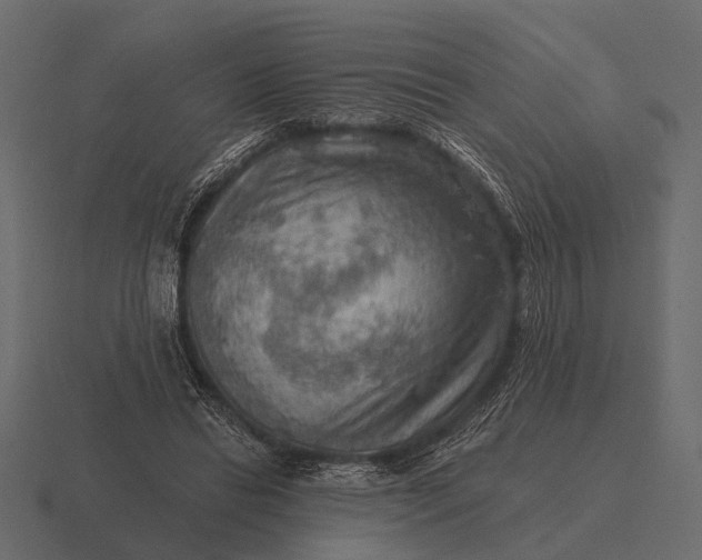 X0000116550446200912241558