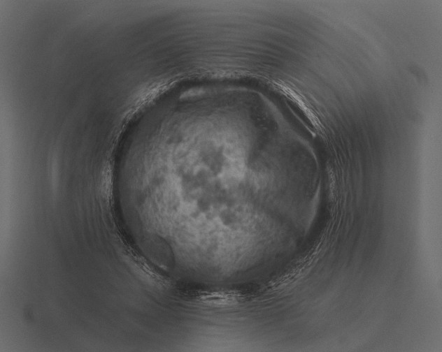 X0000116550447200912241558